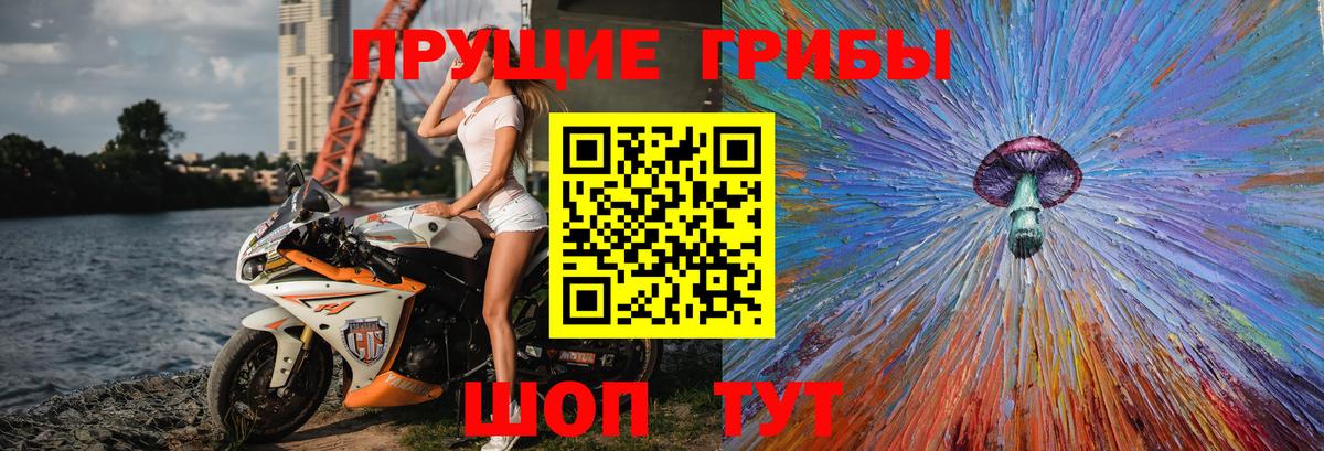 Псилоцибиновые грибы мицелий Прокопьевск